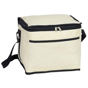 INSULATED COOLER BAG