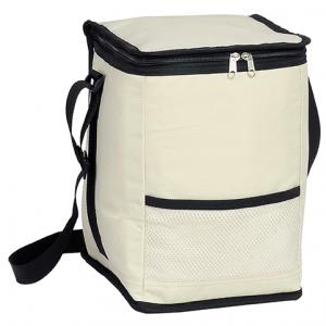 INSULATED COOLER BAG