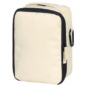 INSULATED LUNCH COOLER BAG