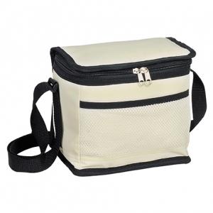 INSULATED COOLER BAG