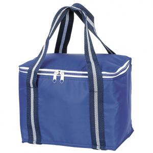INSULATED COOLER BAG