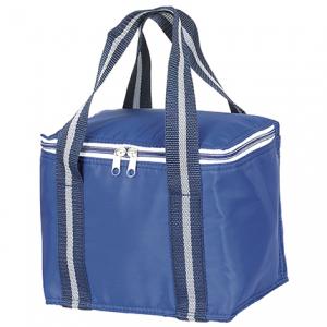 INSULATED COOLER BAG
