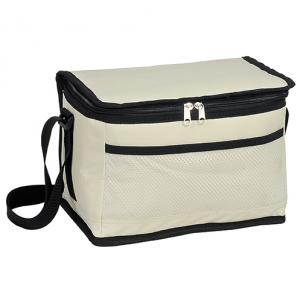 INSULATED COOLER BAG